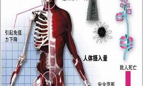 冰箱辐射对人体的伤害_冰箱辐射对人体的伤