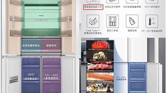 卡萨帝冰箱 温度设置_卡萨帝冰箱温度设置多少合适