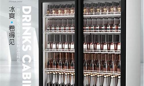 商用冰箱展示柜十大品牌_商用冰箱展示柜十大品牌排名